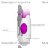 Estimulador de punto G con vibrador especial para clitoris